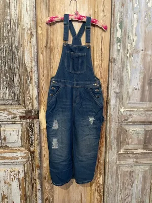 Denim Skirt Overalls